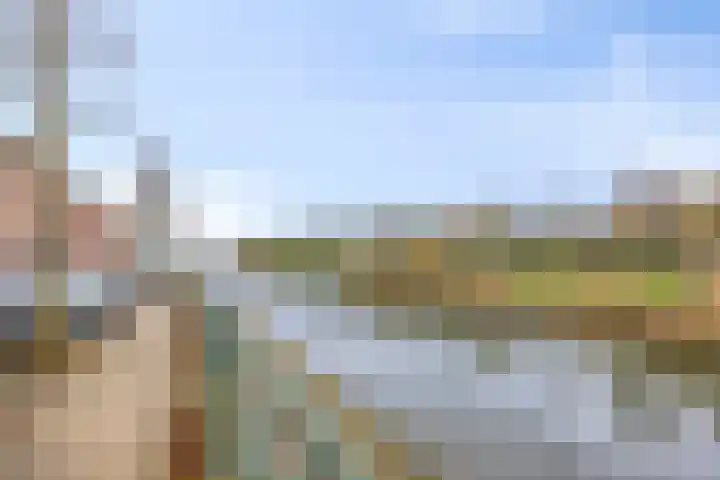 Walstro 56 Cuijk thumbnail 8