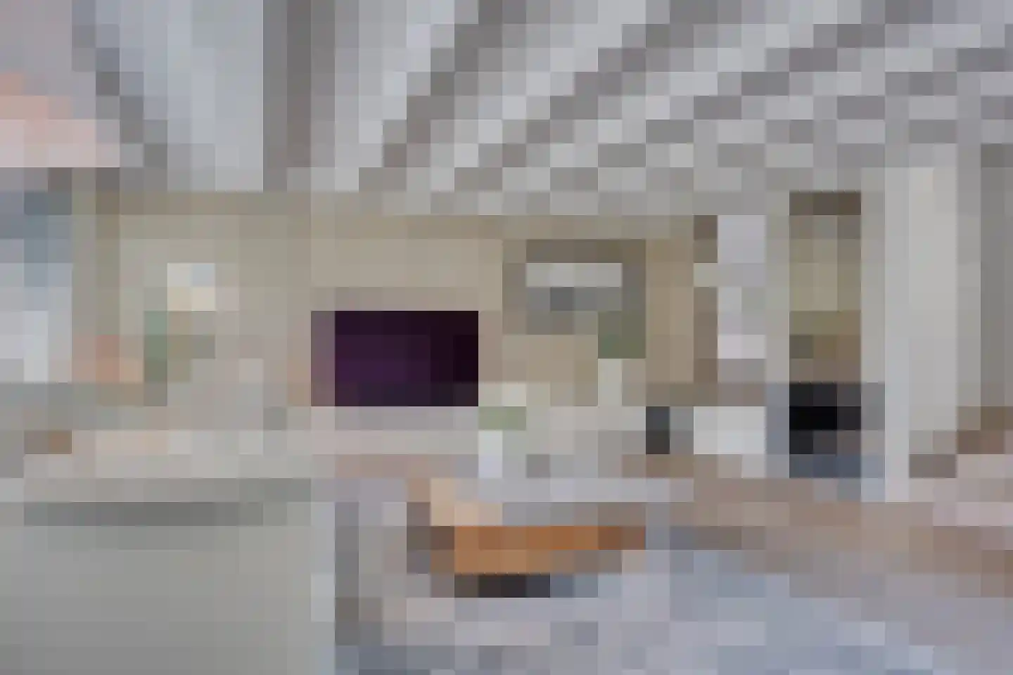 Walstro 56 Leusden thumbnail 10