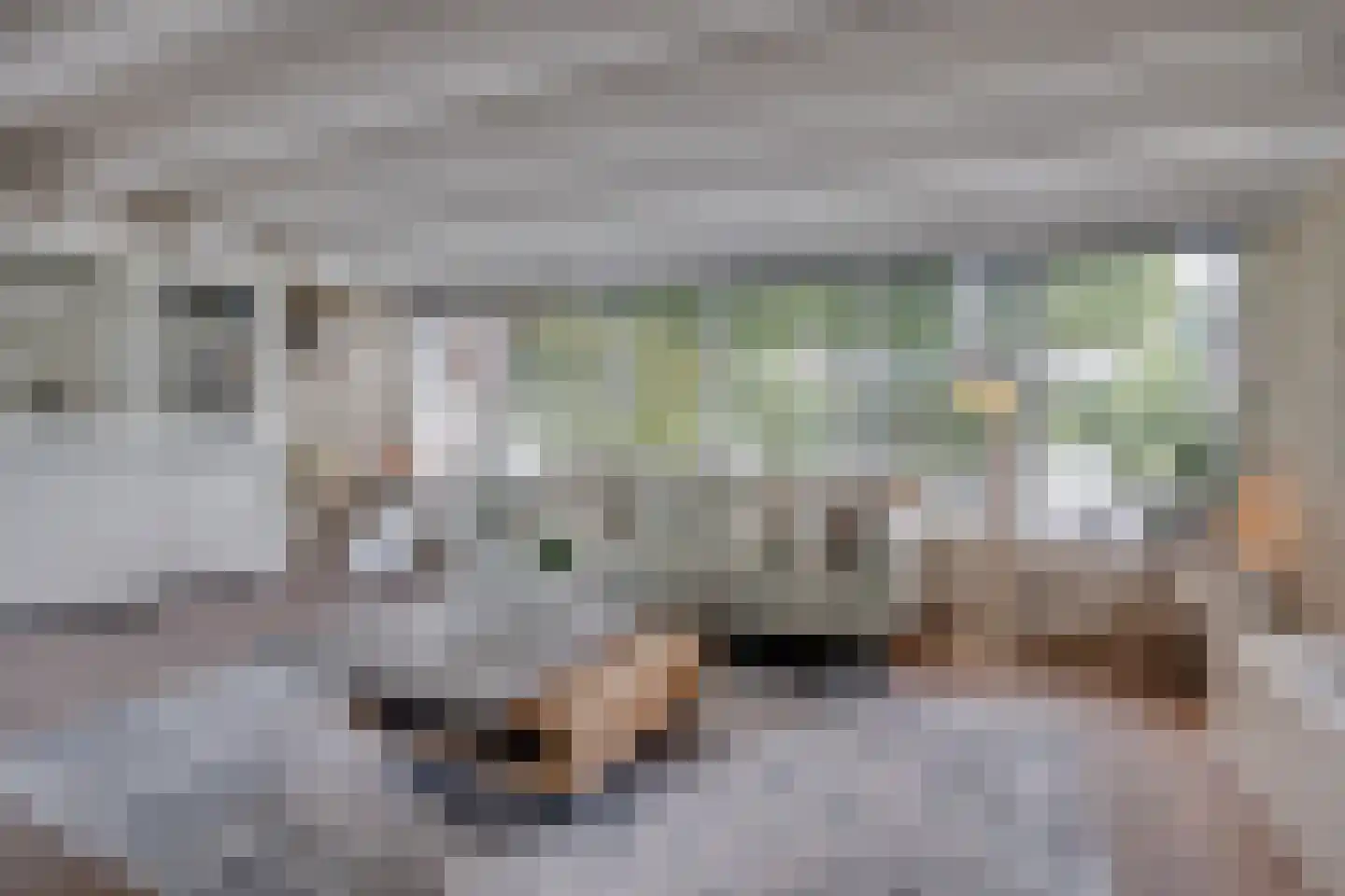 Walstro 56 Leusden thumbnail 12