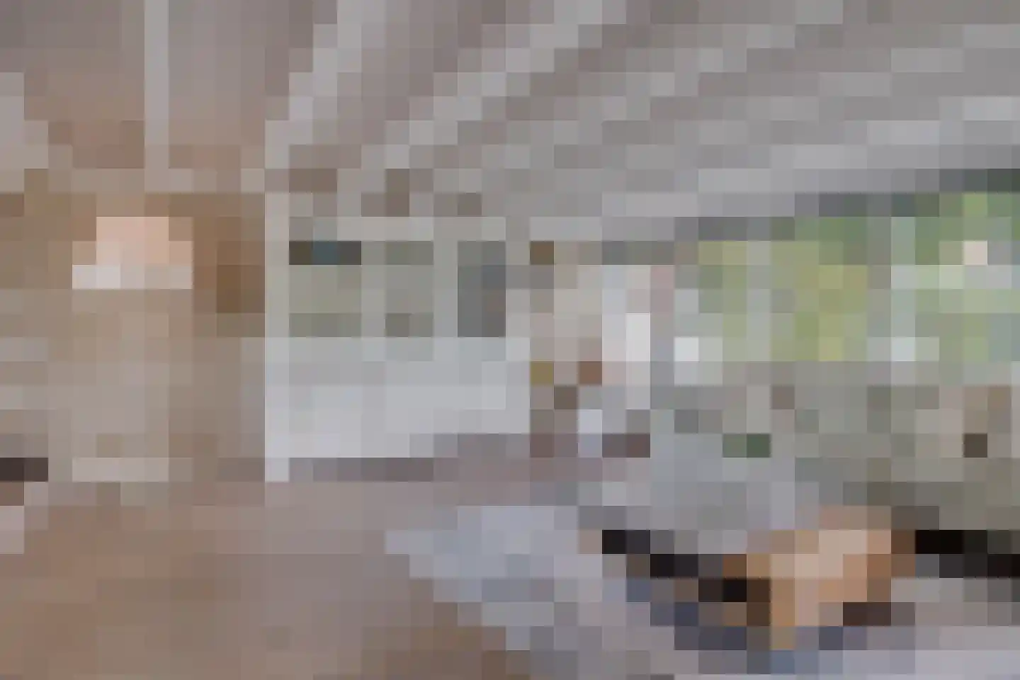 Walstro 56 Leusden thumbnail 13