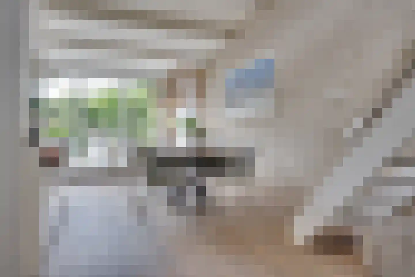 Walstro 56 Leusden thumbnail 16