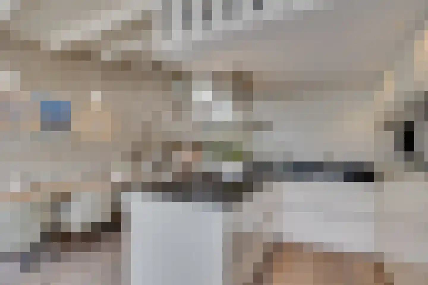Walstro 56 Leusden thumbnail 20