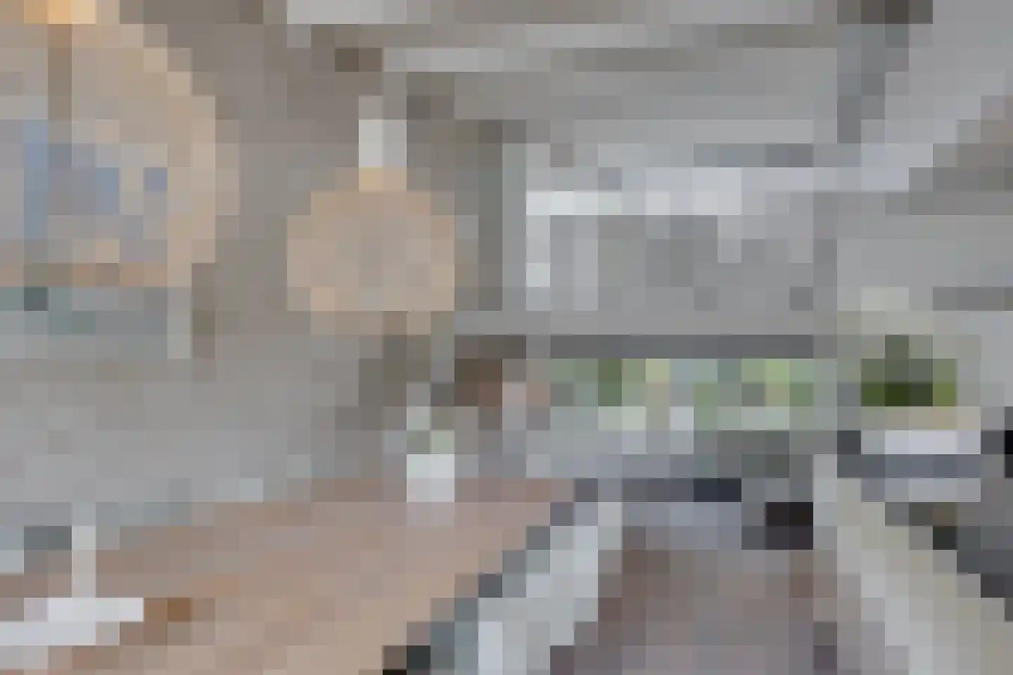 Walstro 56 Leusden thumbnail 21