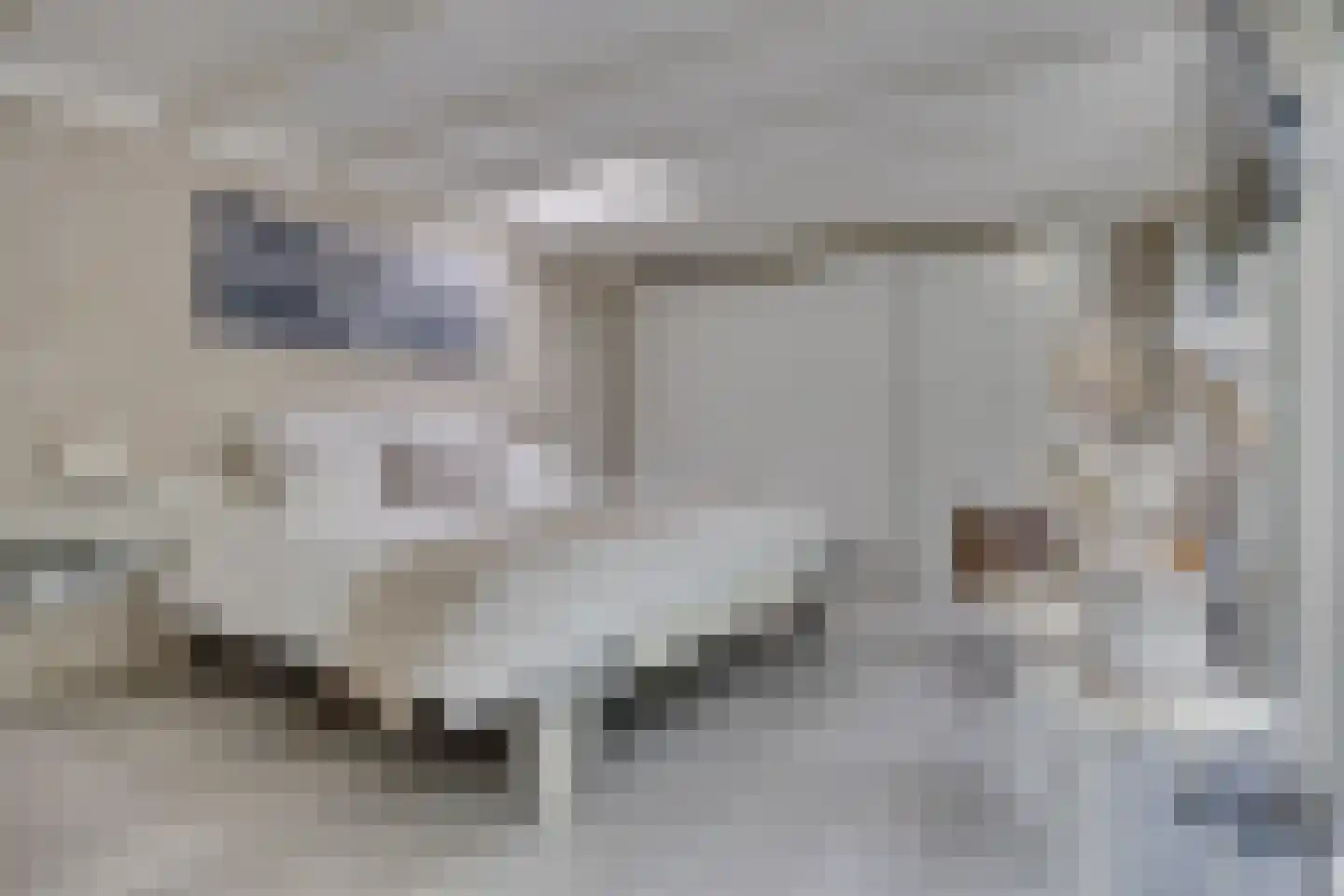 Walstro 56 Leusden thumbnail 23