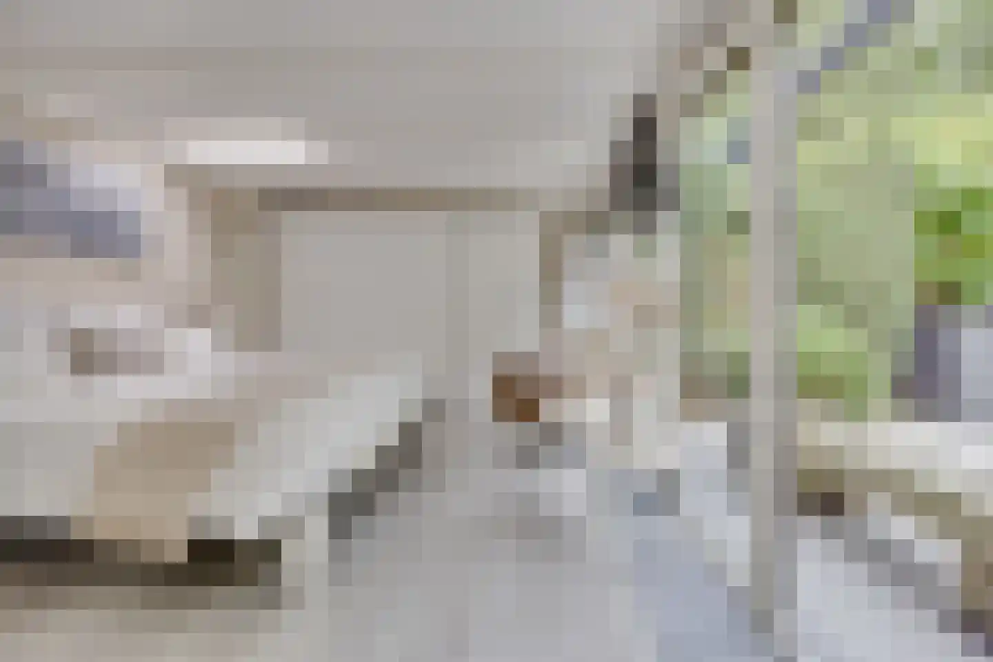 Walstro 56 Leusden thumbnail 24
