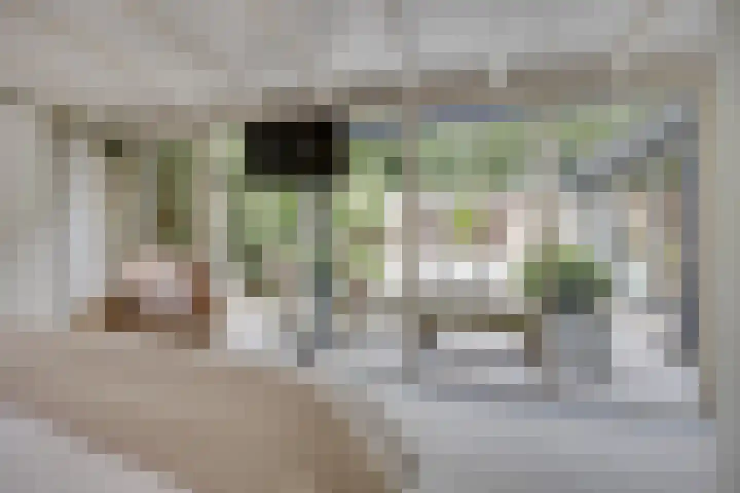 Walstro 56 Leusden thumbnail 26