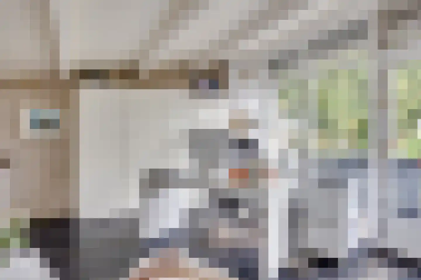 Walstro 56 Leusden thumbnail 33
