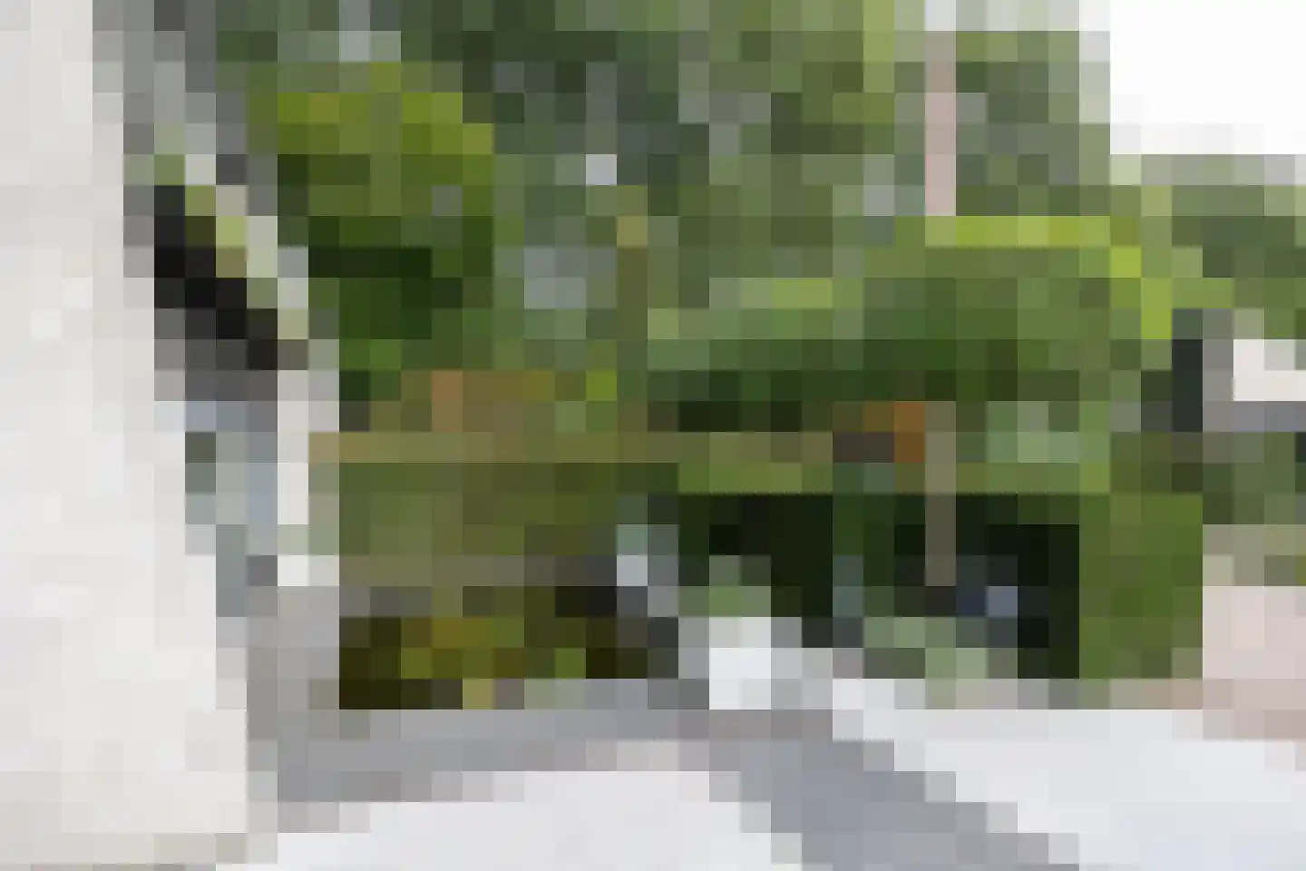 Walstro 56 Leusden thumbnail 40