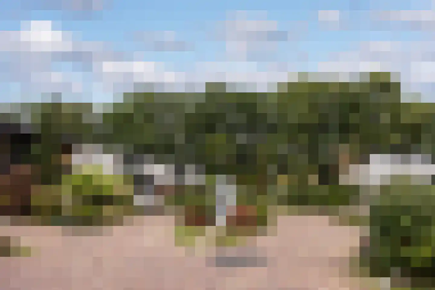 Walstro 56 Leusden thumbnail 45