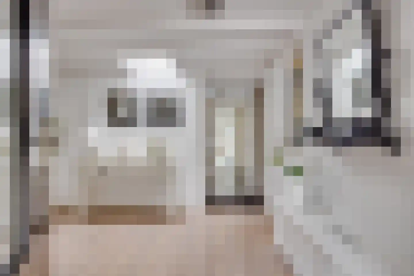 Walstro 56 Leusden thumbnail 6