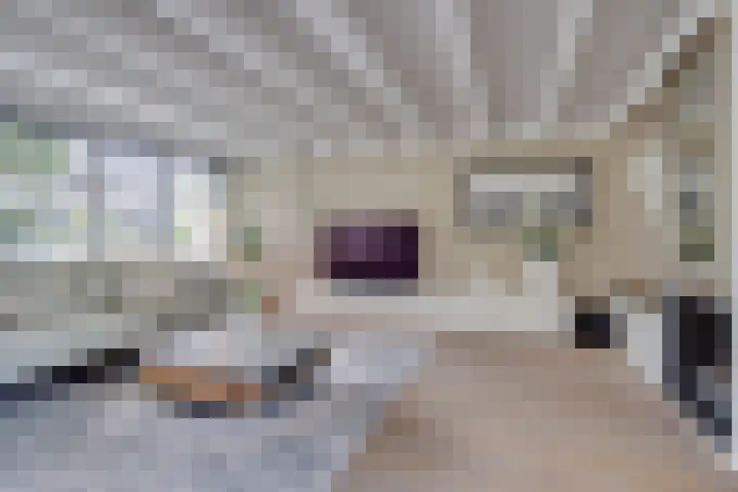 Walstro 56 Leusden thumbnail 8