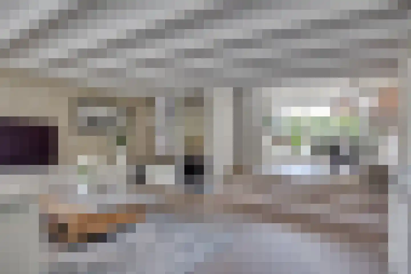 Walstro 56 Leusden thumbnail 9
