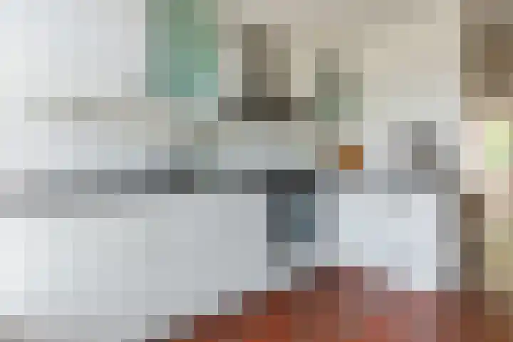 Walstro 57 Cuijk thumbnail 13