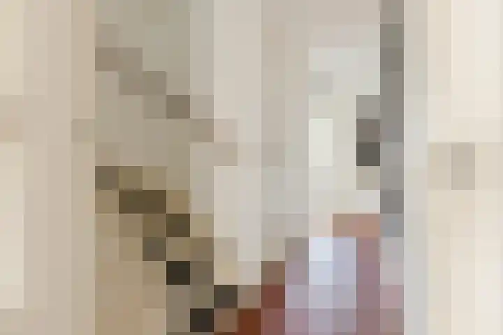 Walstro 57 Cuijk thumbnail 14