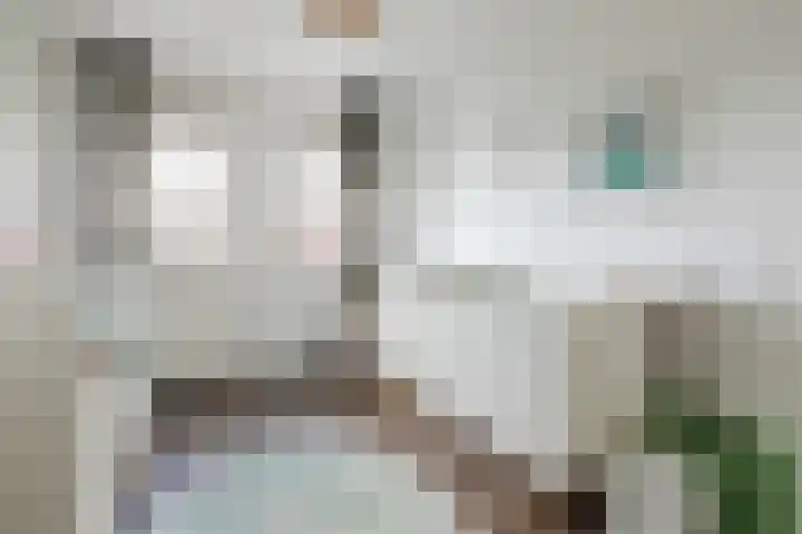 Walstro 57 Cuijk thumbnail 17