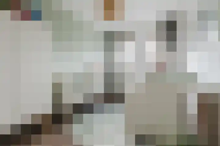 Walstro 57 Cuijk thumbnail 18