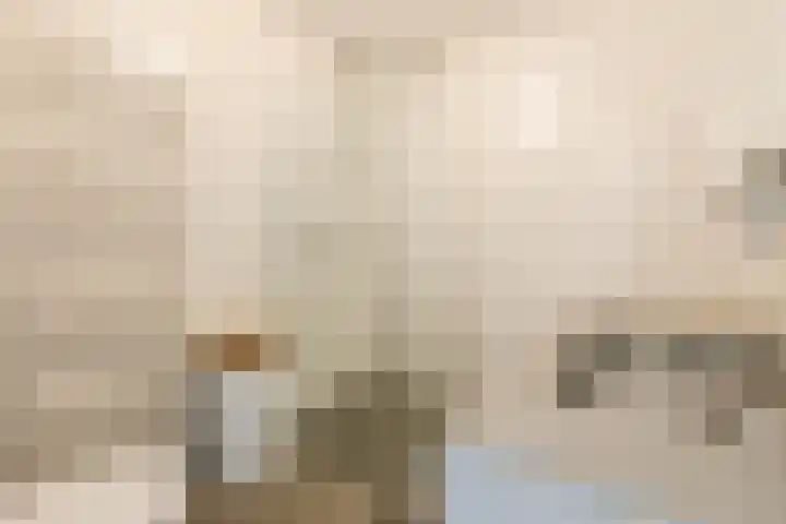 Walstro 57 Cuijk thumbnail 20