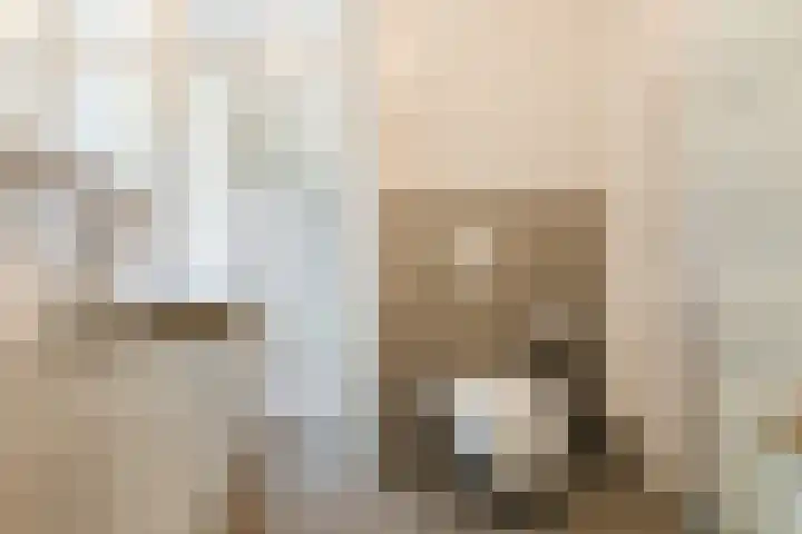 Walstro 57 Cuijk thumbnail 22