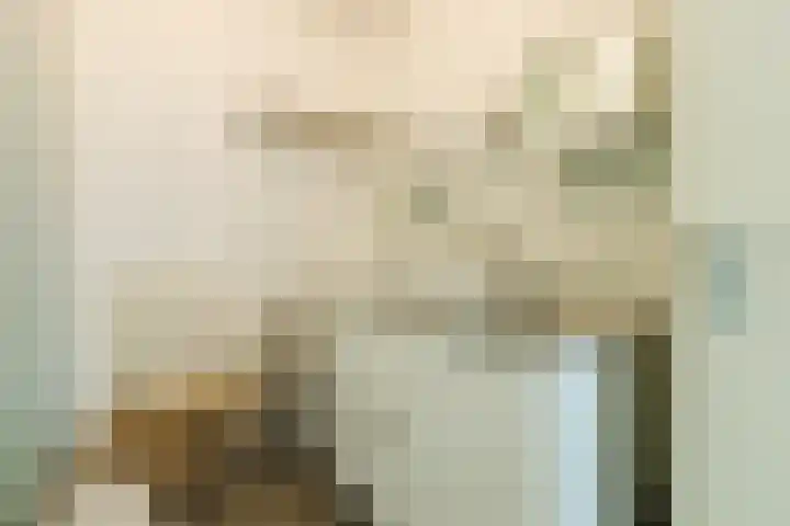Walstro 57 Cuijk thumbnail 28