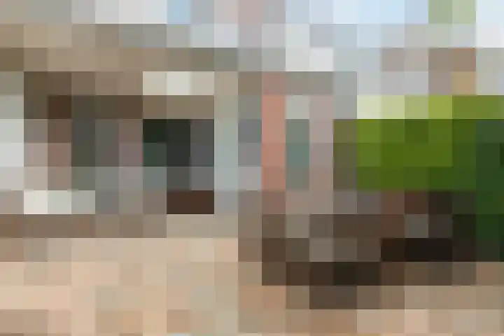 Walstro 57 Cuijk thumbnail 30