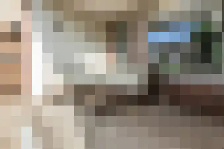Walstro 57 Cuijk thumbnail 31