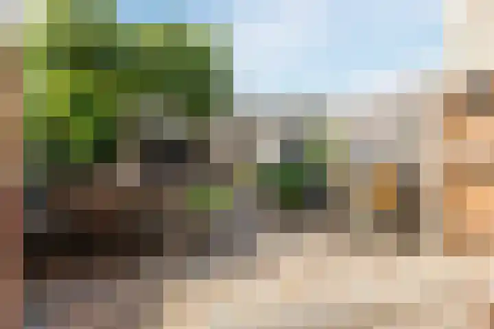 Walstro 57 Cuijk thumbnail 32