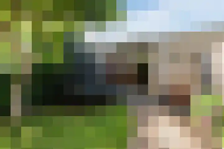 Walstro 57 Cuijk thumbnail 33