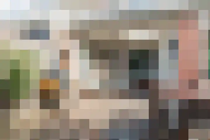 Walstro 57 Cuijk thumbnail 34