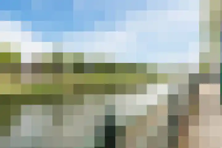 Walstro 57 Cuijk thumbnail 5