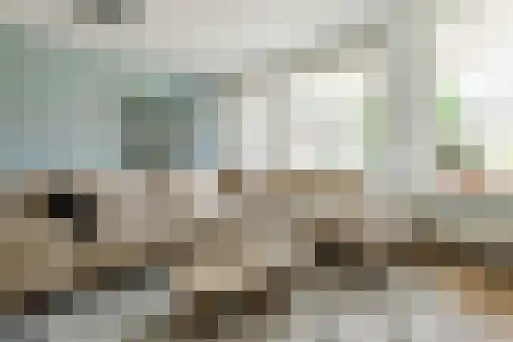 Walstro 57 Cuijk thumbnail 8