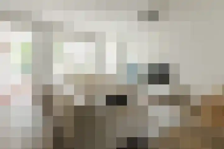 Walstro 57 Cuijk thumbnail 9