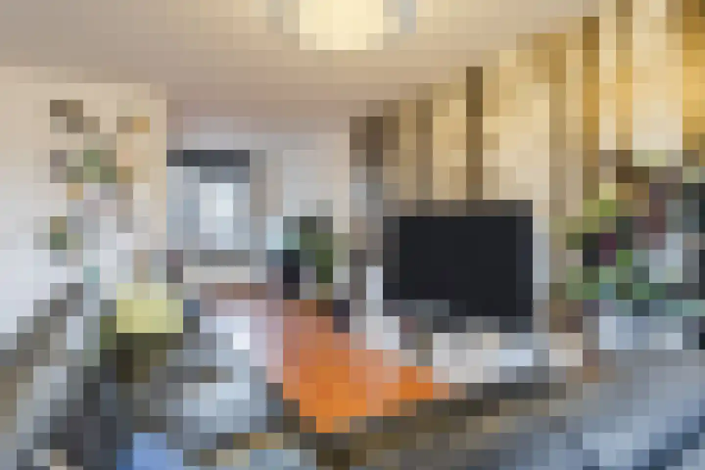 Walstro 6 Cuijk thumbnail 10