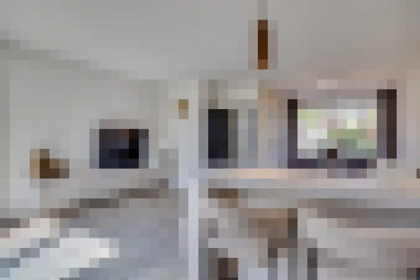 Walstro 61 Leusden thumbnail 15