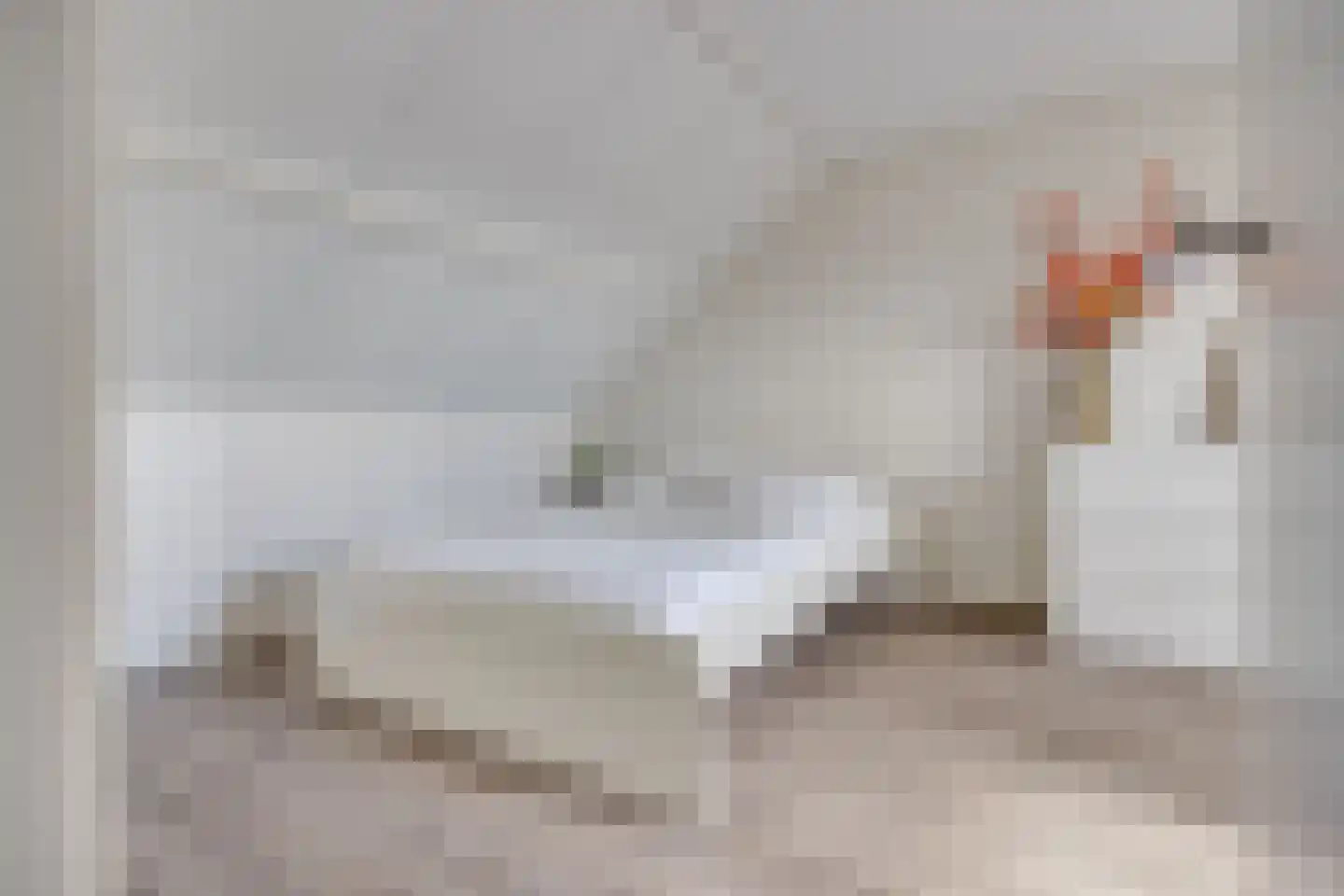 Walstro 61 Leusden thumbnail 32