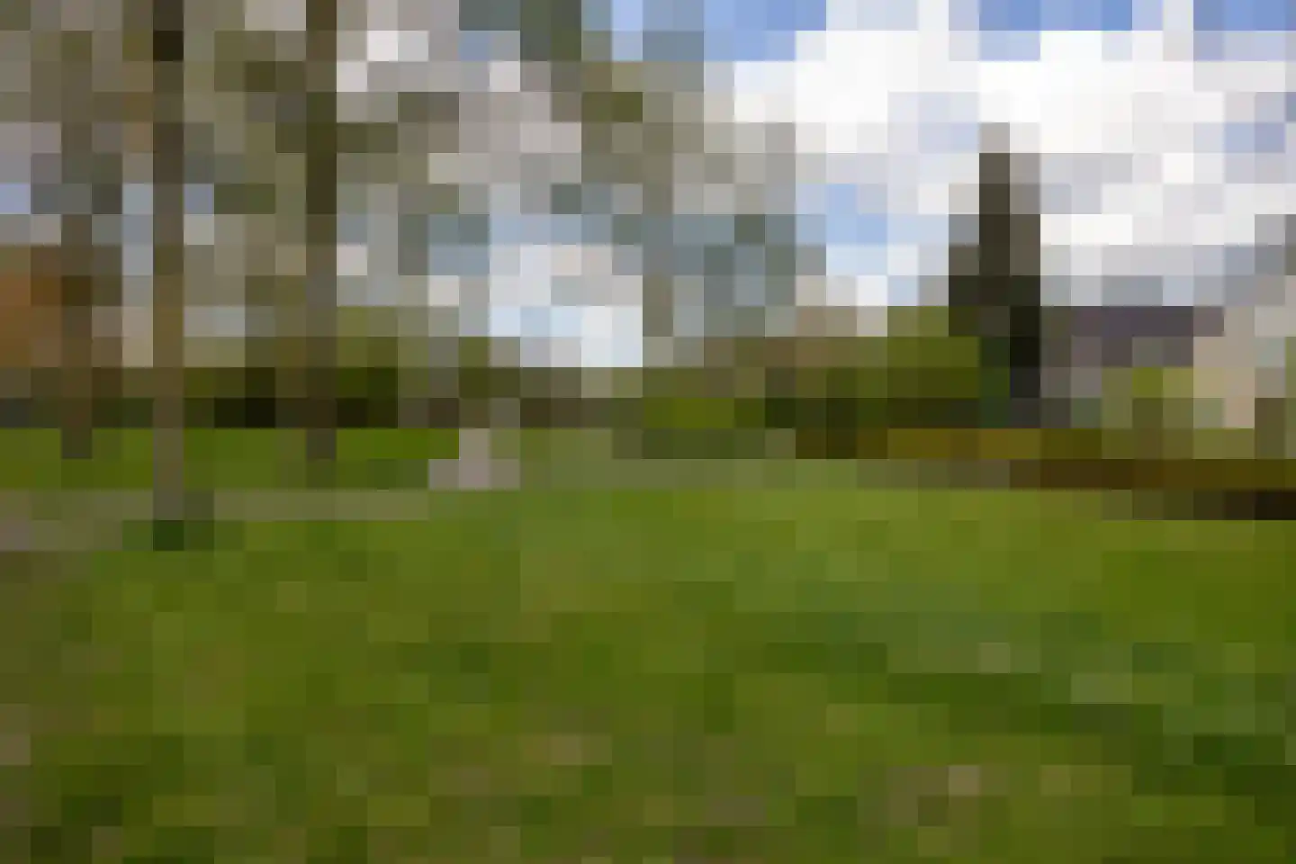 Walstro 61 Leusden thumbnail 35