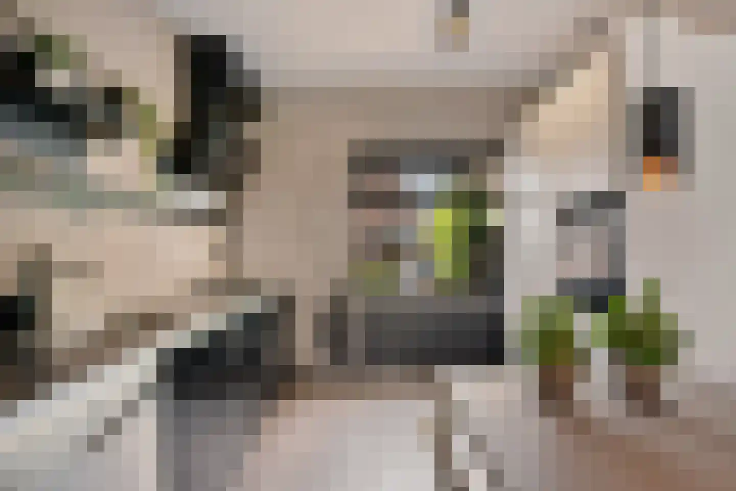 Walstro 63 Sneek thumbnail 11