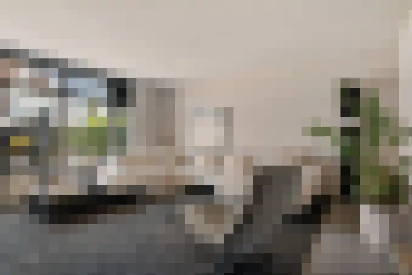 Walstro 63 Sneek thumbnail 14