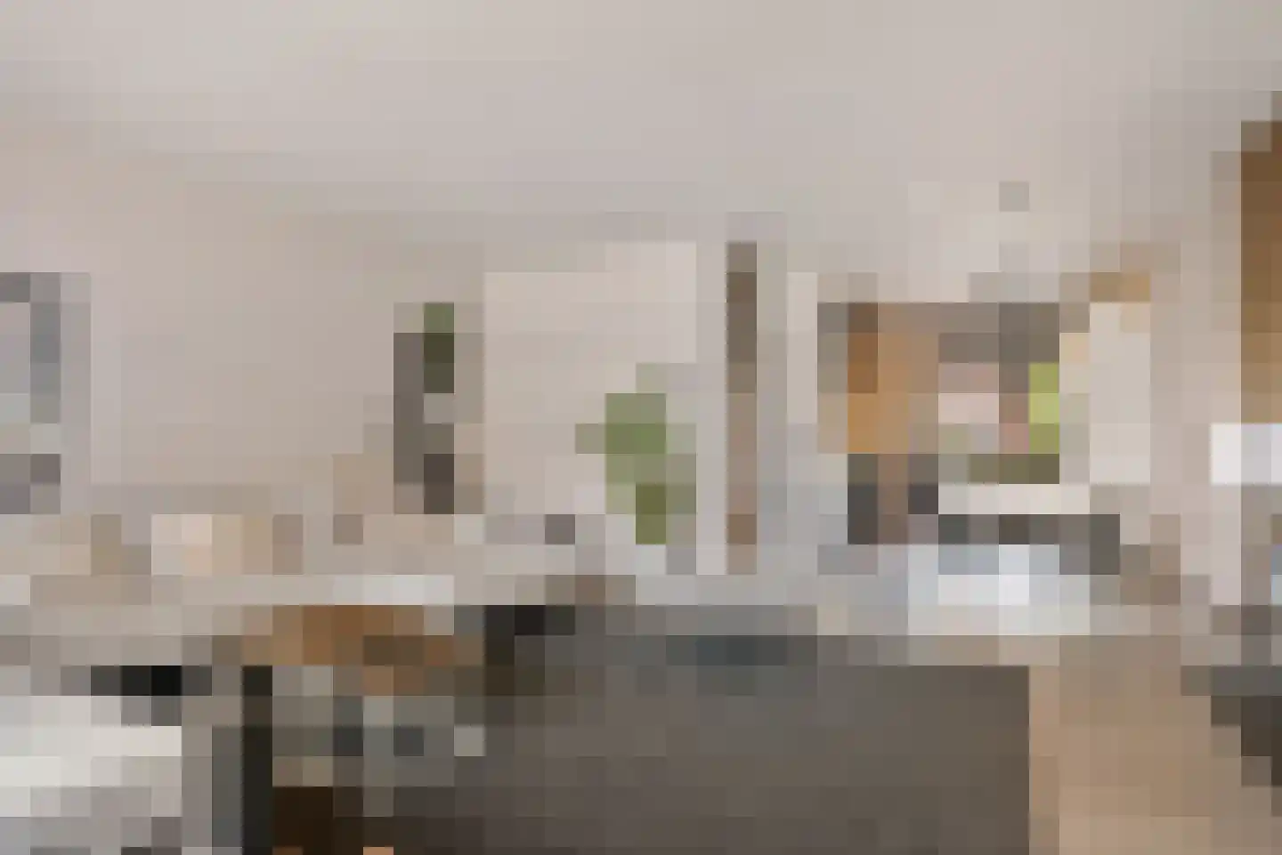 Walstro 63 Sneek thumbnail 15