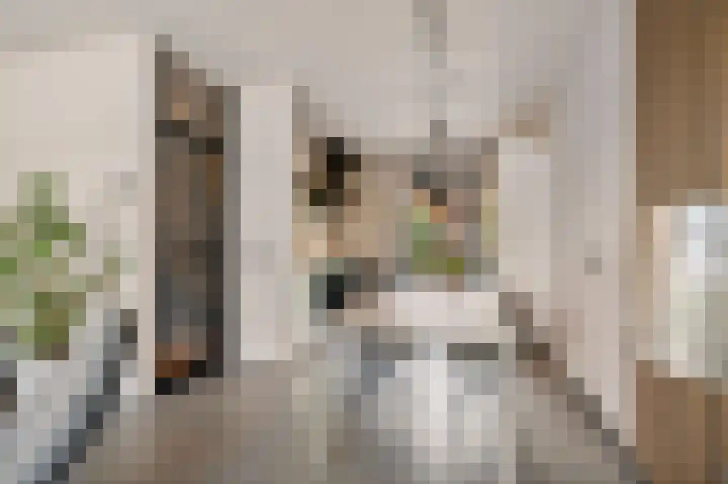 Walstro 63 Sneek thumbnail 16