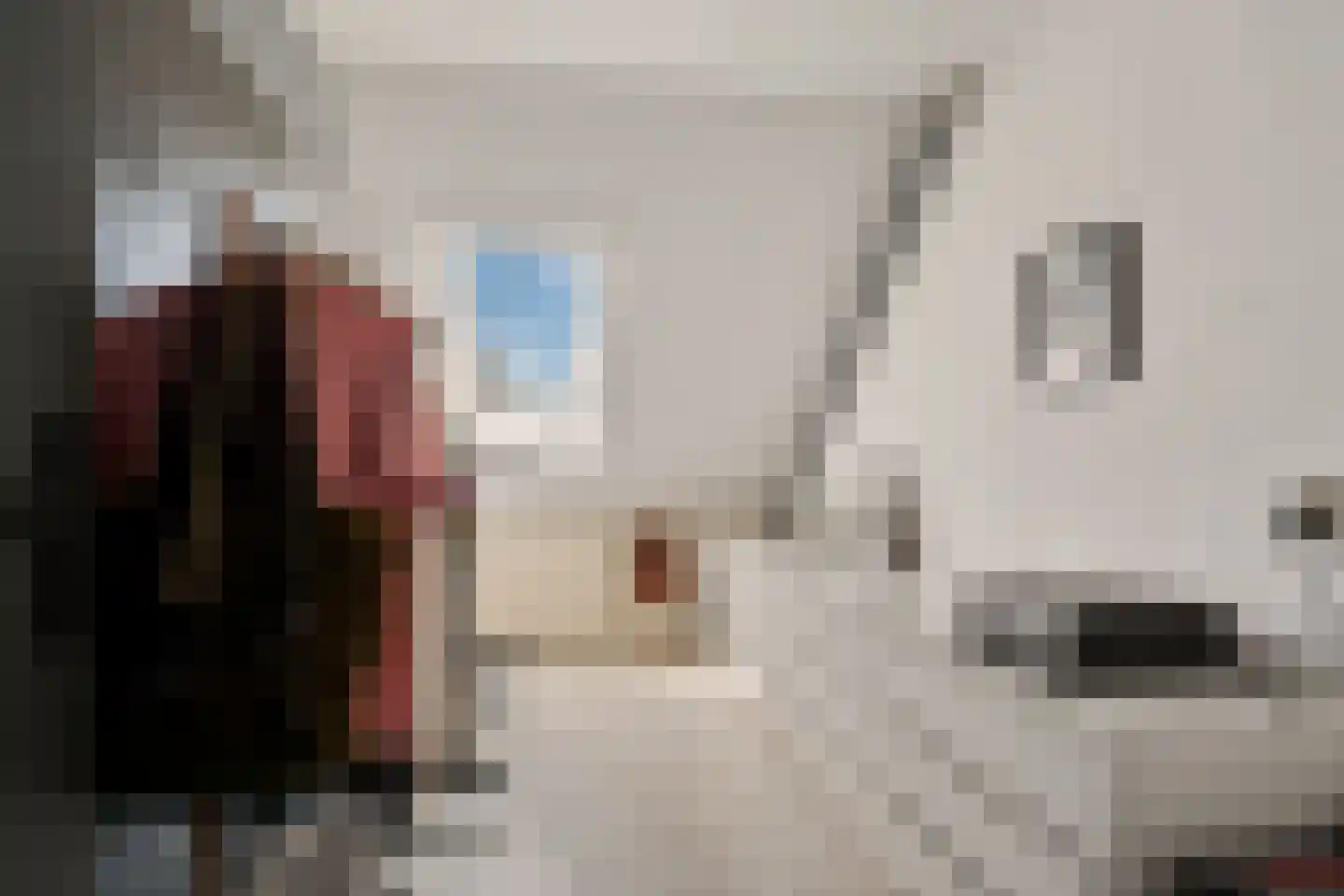Walstro 63 Sneek thumbnail 17