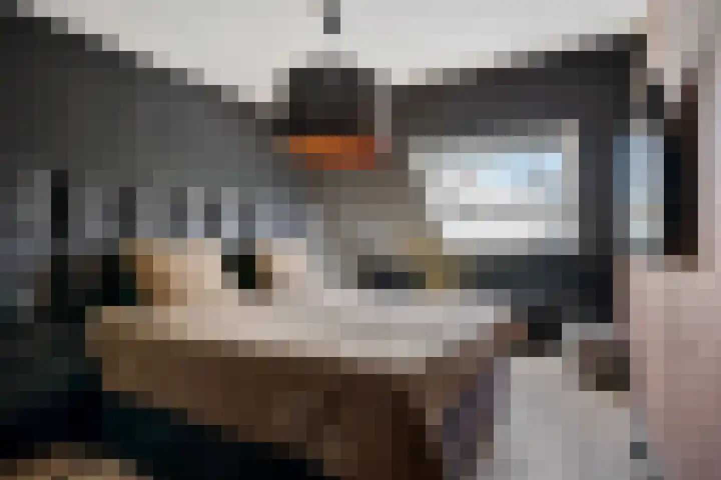 Walstro 63 Sneek thumbnail 19