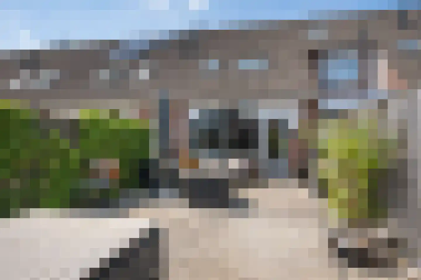 Walstro 63 Sneek thumbnail 30