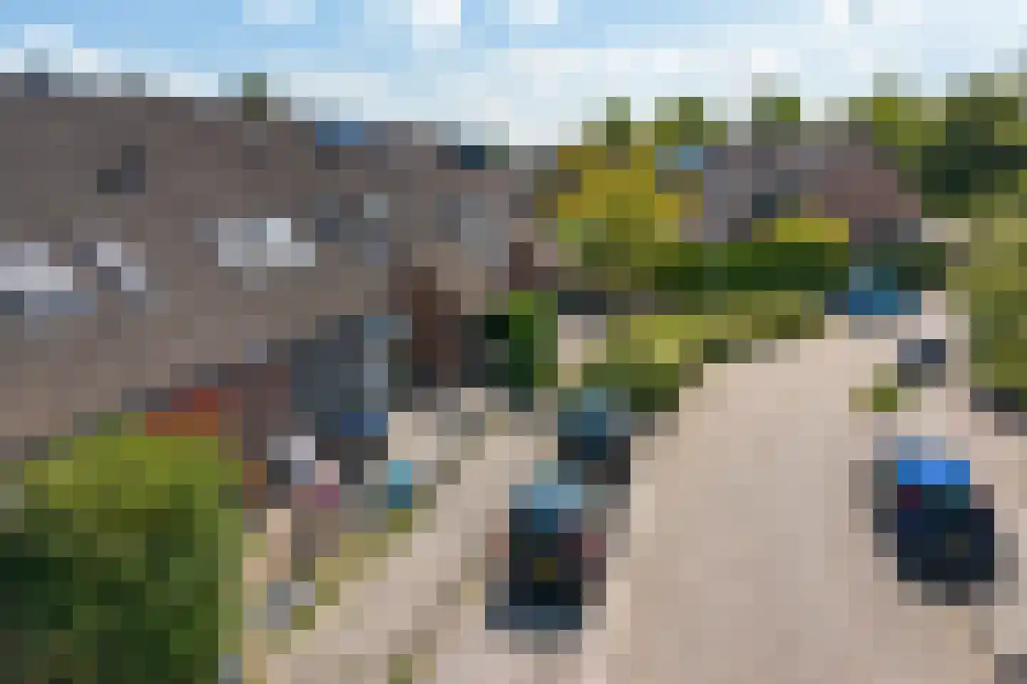Walstro 63 Sneek thumbnail 35