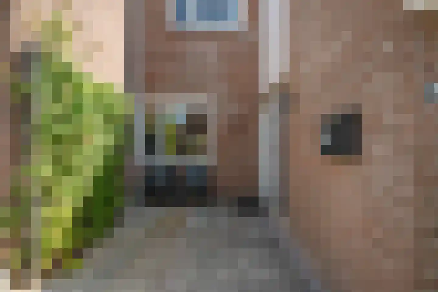 Walstro 63 Sneek thumbnail 5