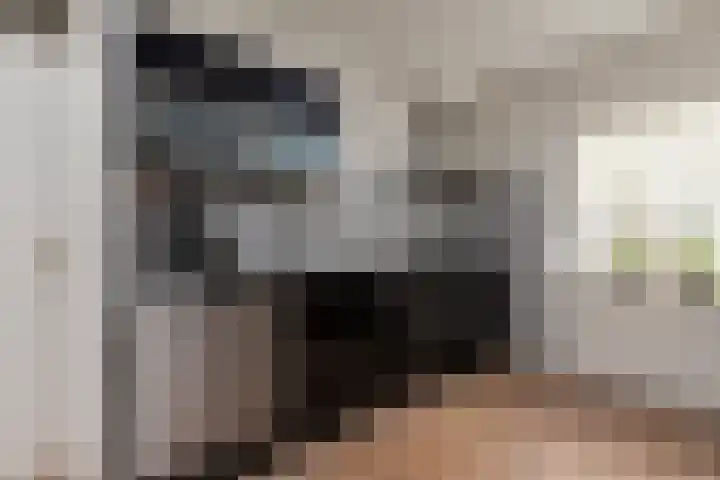 Walstro 67 Sneek thumbnail 10