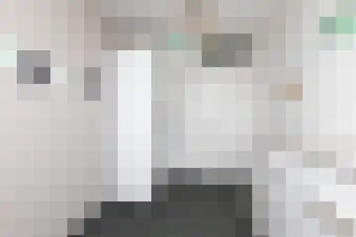 Walstro 67 Sneek thumbnail 19