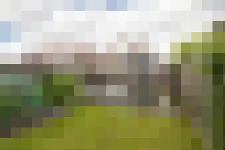Walstro 67 Sneek thumbnail 30