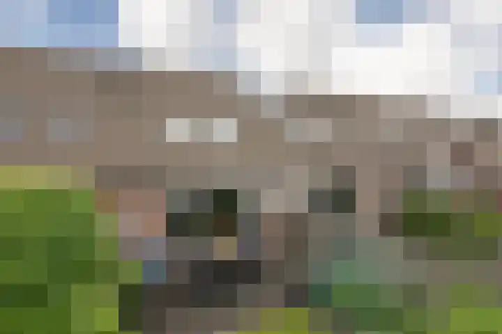 Walstro 67 Sneek thumbnail 33