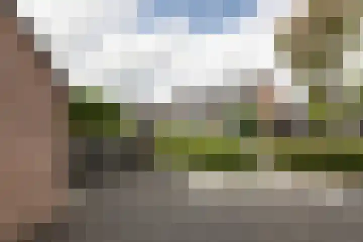 Walstro 67 Sneek thumbnail 34