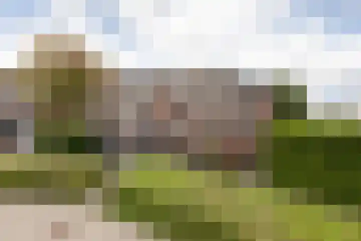 Walstro 67 Sneek thumbnail 35